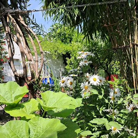 Room With A Garden Milan Exterior photo
