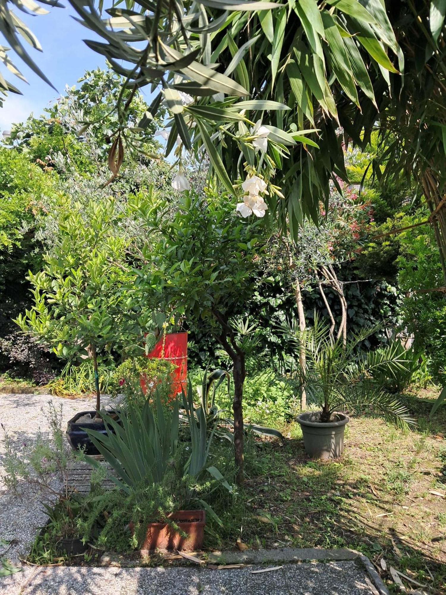 Homestay With A Garden *